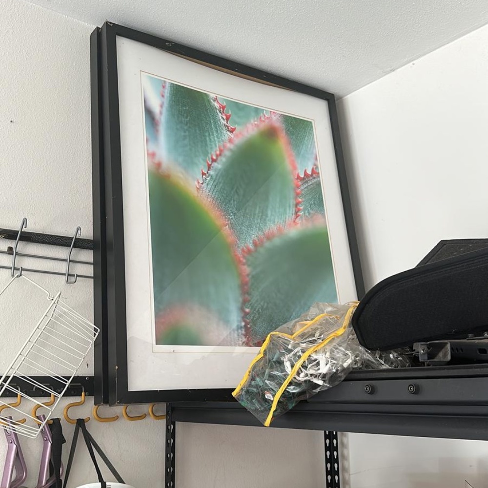 2 pictures in frames 100cm x 50cm